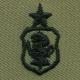 Air Force Senior Nurse Badge On Authentic ABU Cloth