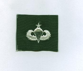Air Force Senior Parachutist Badge Subdued Cloth With White