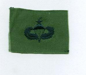 Air Force Senior Parachutist Badge or Wing in Subdued Cloth