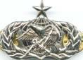 Air Force Senior Supply Fuel - early design Badge/Wing - Saunders Military Insignia