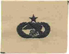 AIR FORCE SENIOR TRANSPORTATION BADGE IN DESERT CLOTH - Saunders Military Insignia