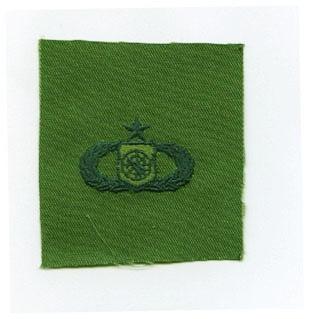 Air Force Senior Weapons Controller Badge On Subdued Cloth