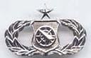 Air Force Senior Weapons Controller Badge or Wing - Saunders Military Insignia
