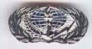 Air Force Service Badge - Saunders Military Insignia