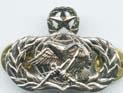 Air Force Supply Fuel Master - early design Wing/Badge - Saunders Military Insignia