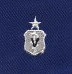 Authentic US Air Force Veterinarian Senior Badge Blue Cloth