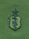 Air Force Veterinarian Senior badge in subdued cloth - Saunders Military Insignia