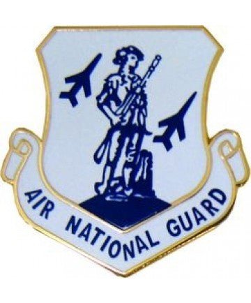 Air National Guard Crest Genuine US Military Insignia