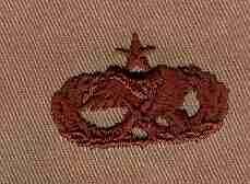 Aircraft Maintenance USAF Senior Badge - Saunders Military Insignia