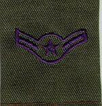 Airman Chevron Gortex USAF Gortex Rank - Saunders Military Insignia