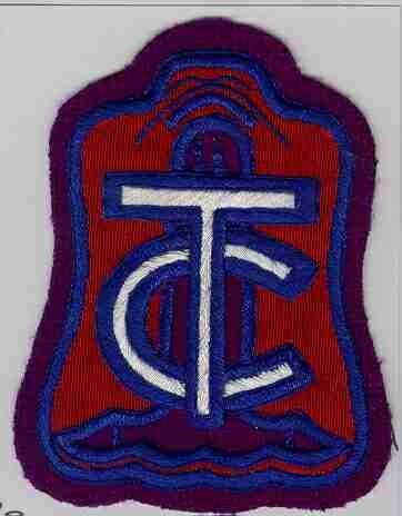 American Typhus Command Patch, Handmade - Saunders Military Insignia