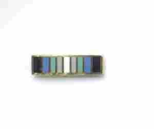 Antarctica Service Lapel Pin - Saunders Military Insignia