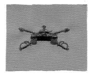 Armor desert, Army Branch Service - Saunders Military Insignia