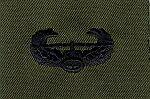 Army Air Assault wing sew on badge in subdued cloth