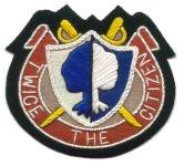 Army Reserve Command Full Color Patch
