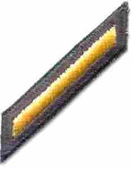 Army Service Stripe by Saunders Military Insignia