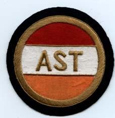 Army Specialized Training, Custom made Cloth Patch