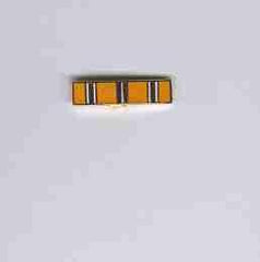 Asiatic Pacific Camp Lapel Pin - Saunders Military Insignia