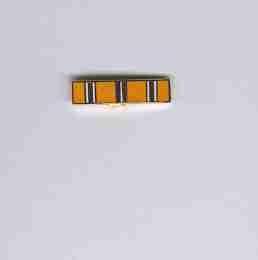 Asiatic Pacific Campaign Lapel Pin for Veterans Military Service Medal Souvenir Keepsake