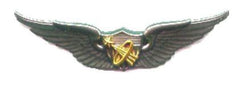 Astronaut basic badge -early design wing - Saunders Military Insignia