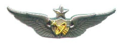 Astronaut Senior badge -early design wing - Saunders Military Insignia