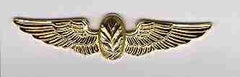 Navy Aviation Experimental Psychologist badge by Saunders Military Insignia