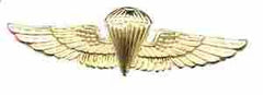 Navy Parachutist Badge by Saunders Military Insignia