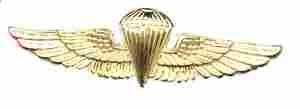 Basic parachutist Navy wing - Saunders Military Insignia
