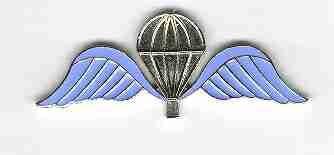 Belgium Parachute Wing by Saunders Military Insignia
