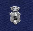 Biomedical Science Chief Badge in Blue Cloth by Saunders Military Insignia
