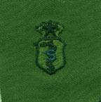 Biomedical Science Chief Badge in subdued cloth by Saunders Military Insignia