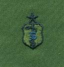 Biomedical Science Senior Badge in subdued cloth by Saunders Military Insignia