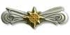 Boat Force Operation Advance Regulation Badge by Saunders Military Insignia