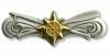 BOAT FORCE OPERATION ADVANCED Badge by Saunders Military Insignia
