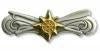 BOAT FORCE OPERATION ADVANCED Badge - Saunders Military Insignia