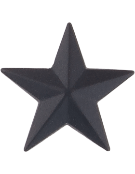 Brigadier General Insignia in black metal
