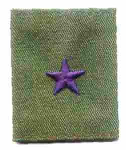 Authentic USAF Brigadier General Gortex Rank Insignia