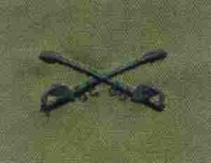 Cavalry subued, Army Branch of Service insignia