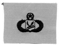 Chapel Management Master Badge, Cloth, Desert Subdued - Saunders Military Insignia