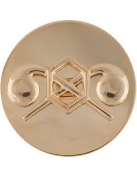 Chemical Enlisted Branch of Service Collar Insignia