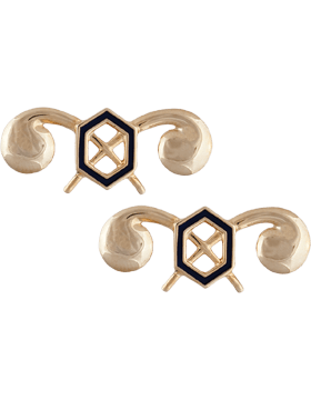 Chemical Officer Army branch of service badge - Saunders Military Insignia