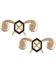 Chemical Officer Army branch of service badge by Saunders Military Insignia