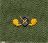 Chemical Warfare sew on badge Badge, cloth, Olive Drab by Saunders Military Insignia