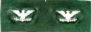 Colonel Sage Green USAF Off. Rank, pair by Saunders Military Insignia