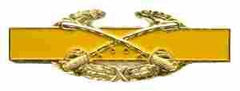 Combat Cavalry Badge in Enamel Metal by Saunders Military Insignia