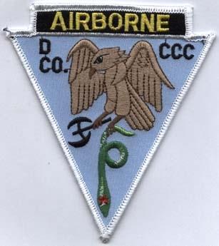 Command and Control D Co Exp Fce (Special Forces) Patch