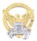 Command At Sea Badge by Saunders Military Insignia