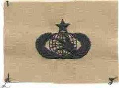 Communications Electronics Maintenance Senior USAF Badge by Saunders Military Insignia
