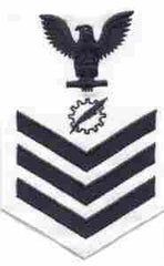 Data Processing Technician US Navy Rating by Saunders Military Insignia