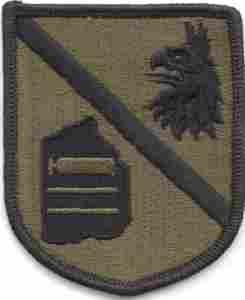 Defense Language Institute subdued patch